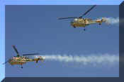 Sud-Aviation SE3160 Alouette III, click to open in large format