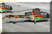 Sud-Aviation SE3160 Alouette III, click to open in large format