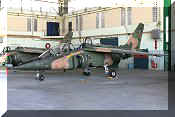 Dassault/Dornier Alpha-Jet A, click to open in large format