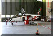 Dassault/Dornier Alpha-Jet A, click to open in large format