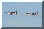 Dassault/Dornier Alpha-Jet A, click to open in large format