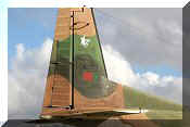 CASA C-212-100 Aviocar, click to open in large format