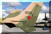 Cessna FTB-337G Skymaster, click to open in large format