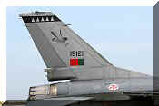 F-16AM Fighting Falcon, click to open in large format