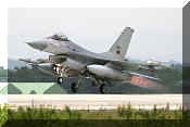F-16AM Fighting Falcon, click to open in large format