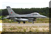 F-16AM Fighting Falcon, click to open in large format