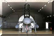 F-16BM Fighting Falcon, click to open in large format