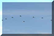 F-16A Fighting Falcon, click to open in large format