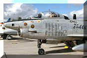 Fiat G.91 R/3 '75.000 Horas' FAP, click to open in large format
